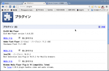 NONALNUM-53637265656E73686F742DE38397E383A9E382B0E382A4E383B32D4368726F6D69756D